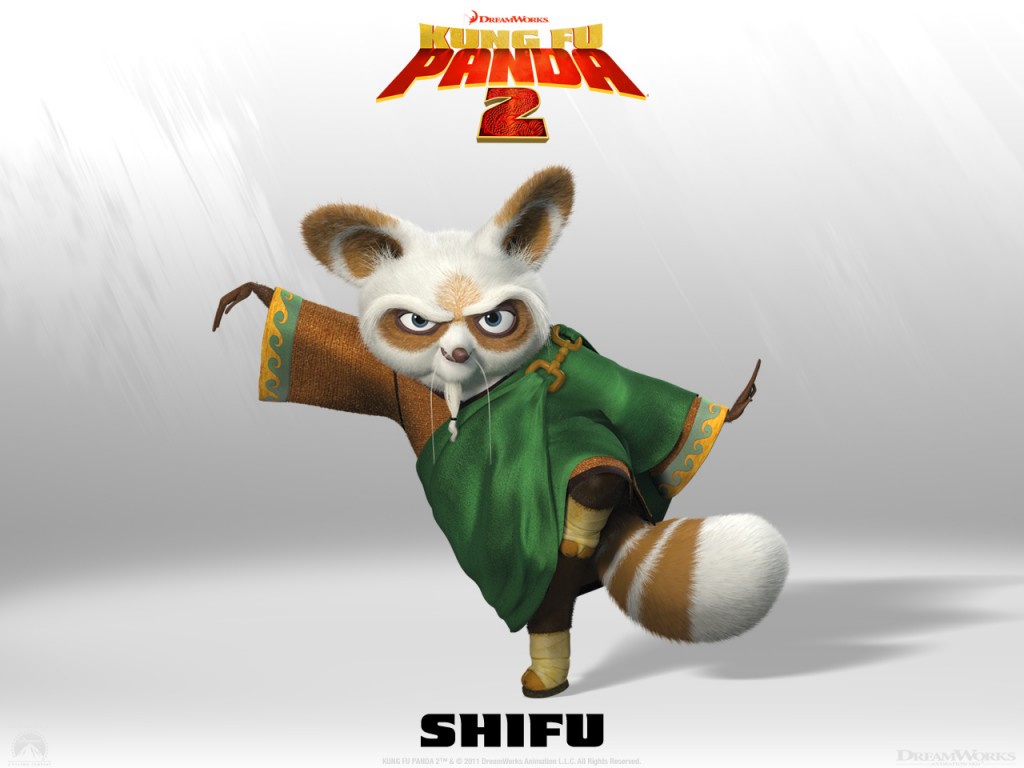 Shifu Kung Fu Panda 2